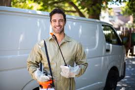 Emergency Pest Control in Pine Bush, NY